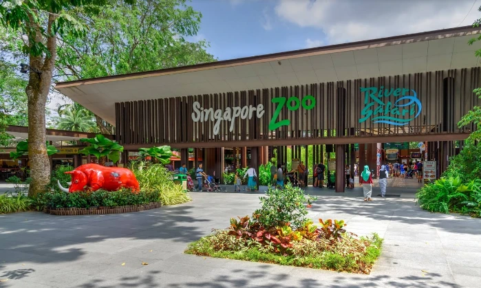 싱가폴 여행 추천 스팟 싱가포르 동물원